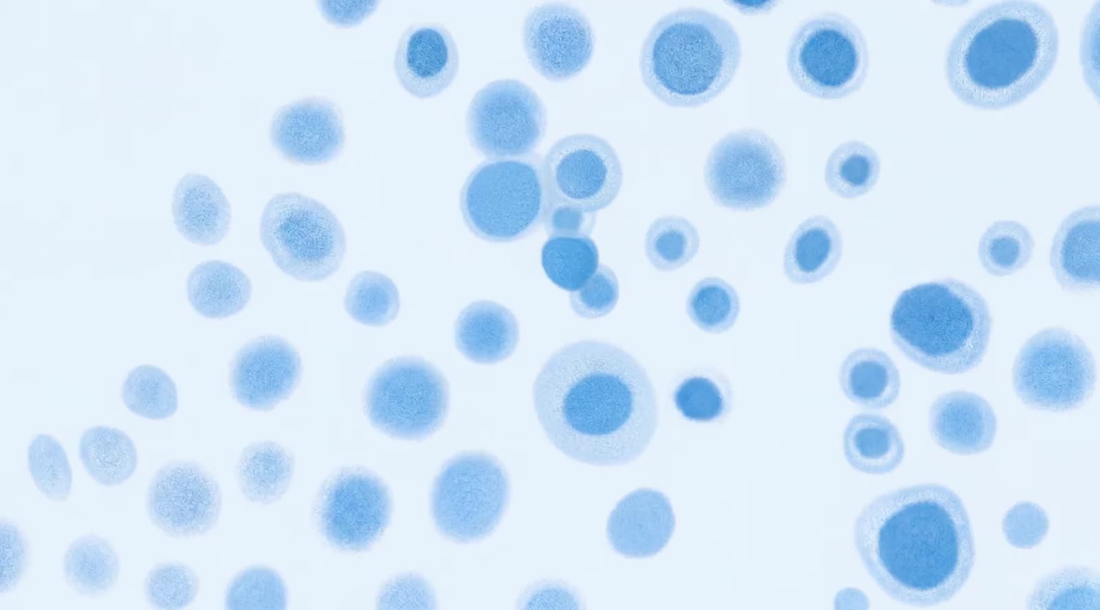 Elvinix’s approach targets the regeneration and protection of insulin-producing beta cells.